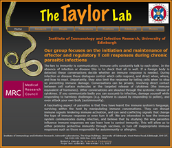 Taylor Lab website