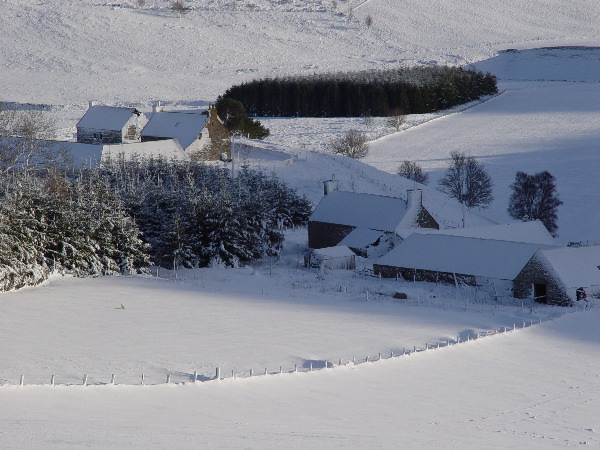 DSC00642.JPG