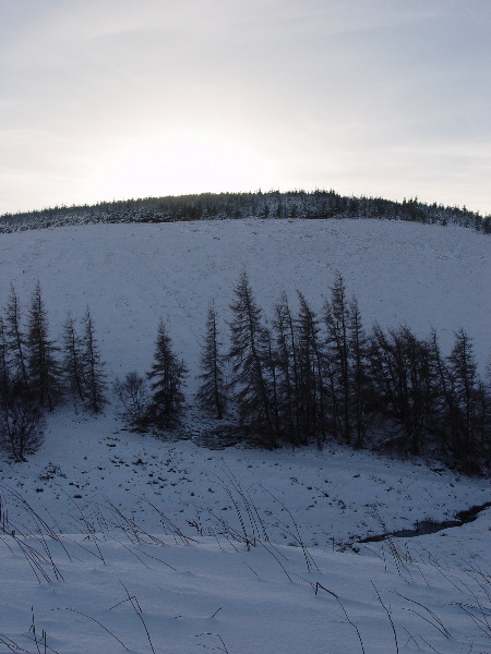 DSC00644.JPG