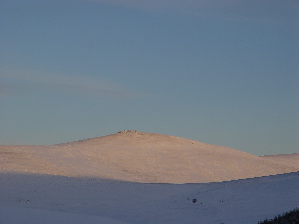 DSC00649