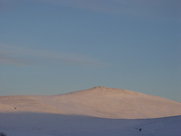 DSC00650